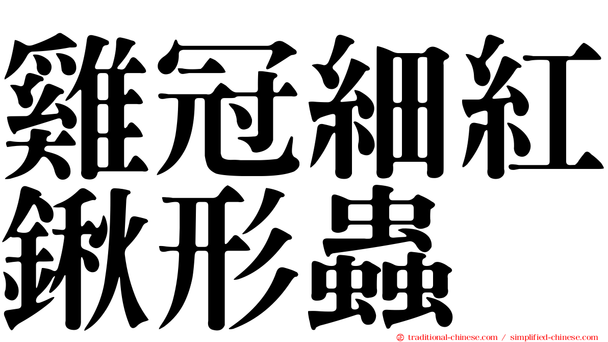 雞冠細紅鍬形蟲