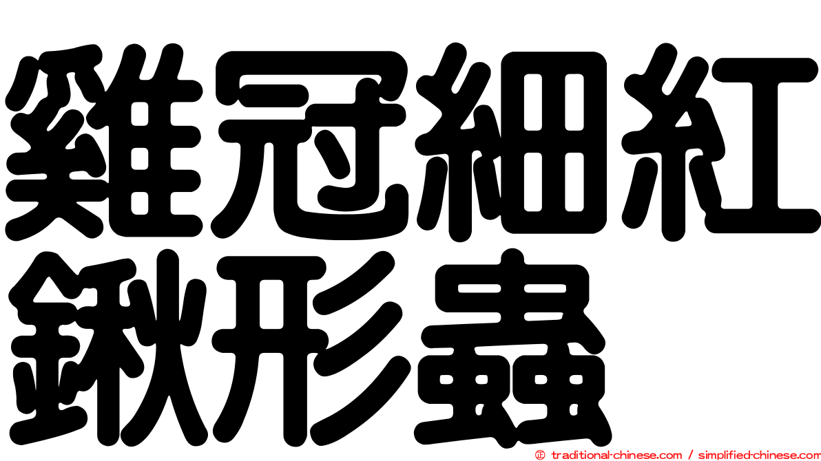 雞冠細紅鍬形蟲
