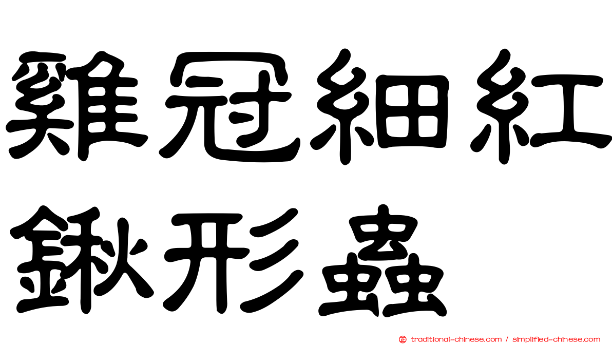 雞冠細紅鍬形蟲