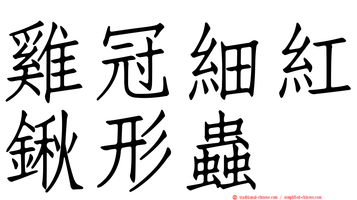 雞冠細紅鍬形蟲