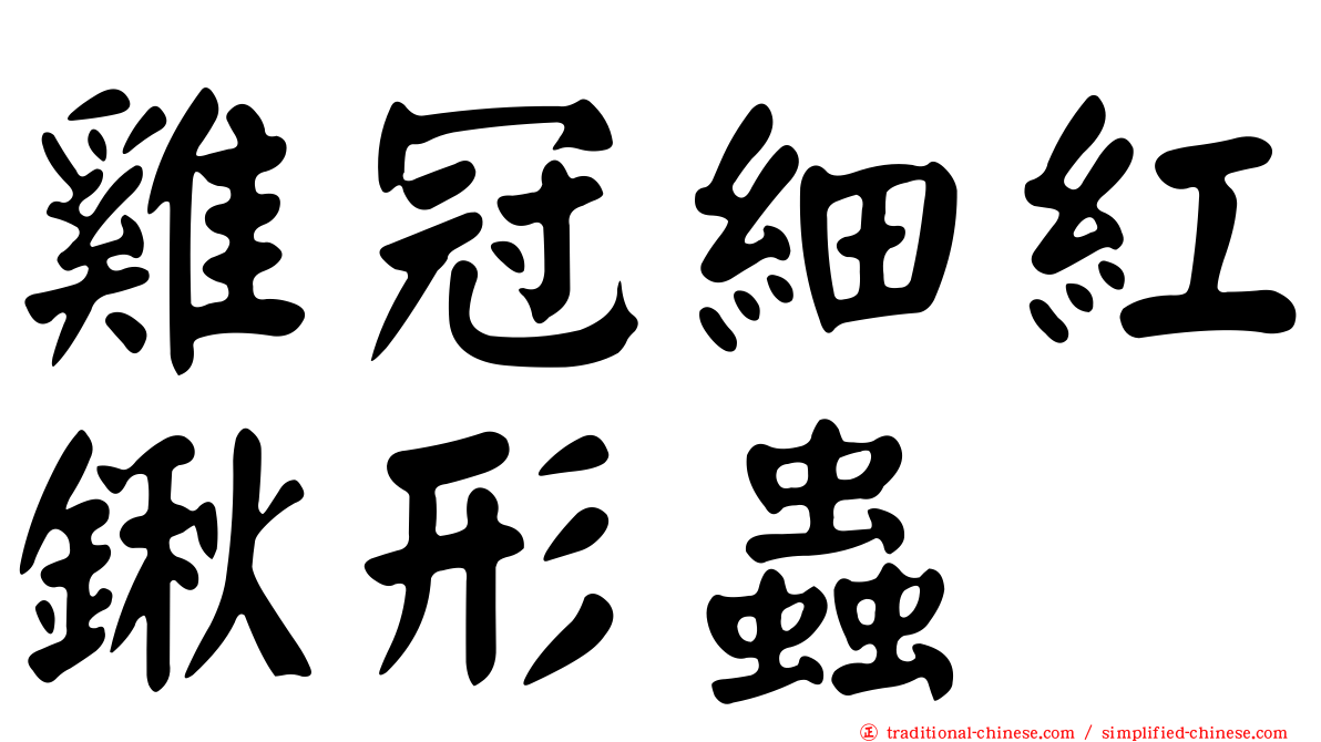 雞冠細紅鍬形蟲