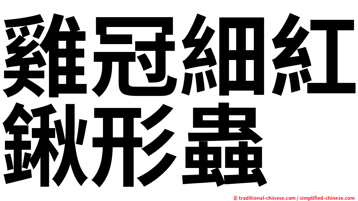 雞冠細紅鍬形蟲