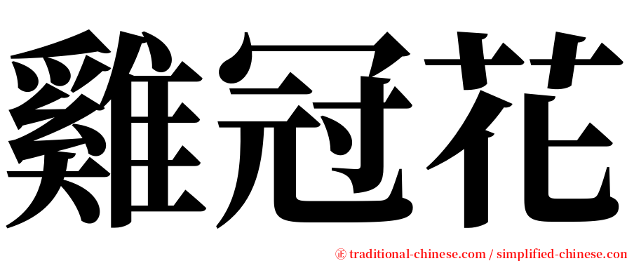 雞冠花 serif font