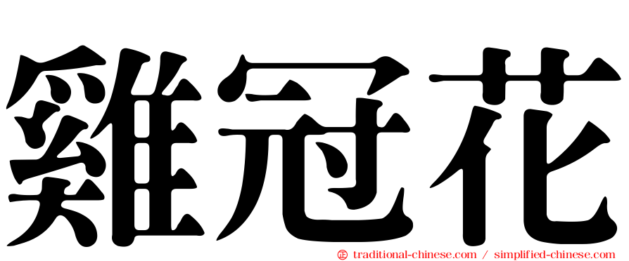 雞冠花