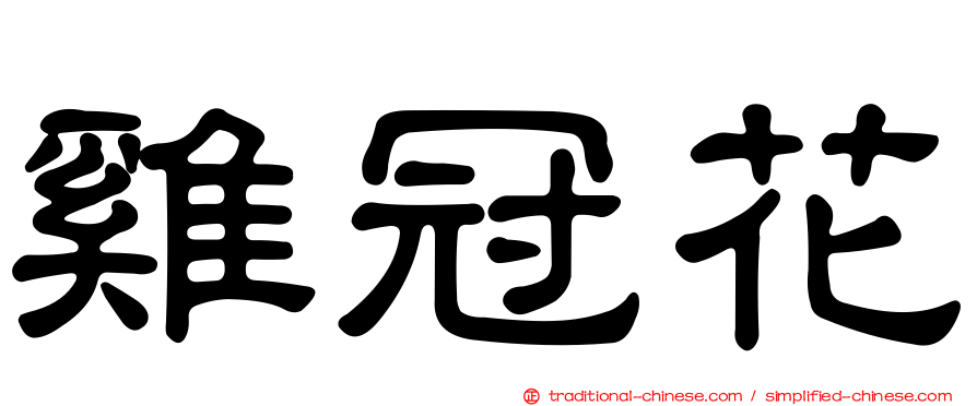 雞冠花