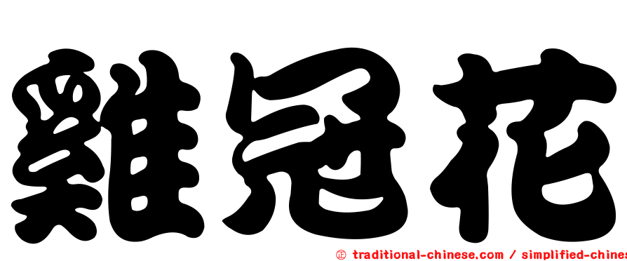雞冠花