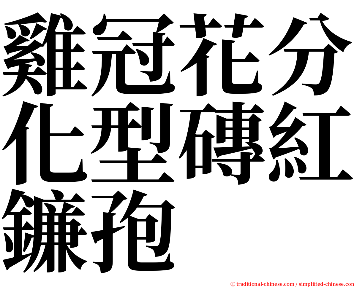 雞冠花分化型磚紅鐮孢 serif font