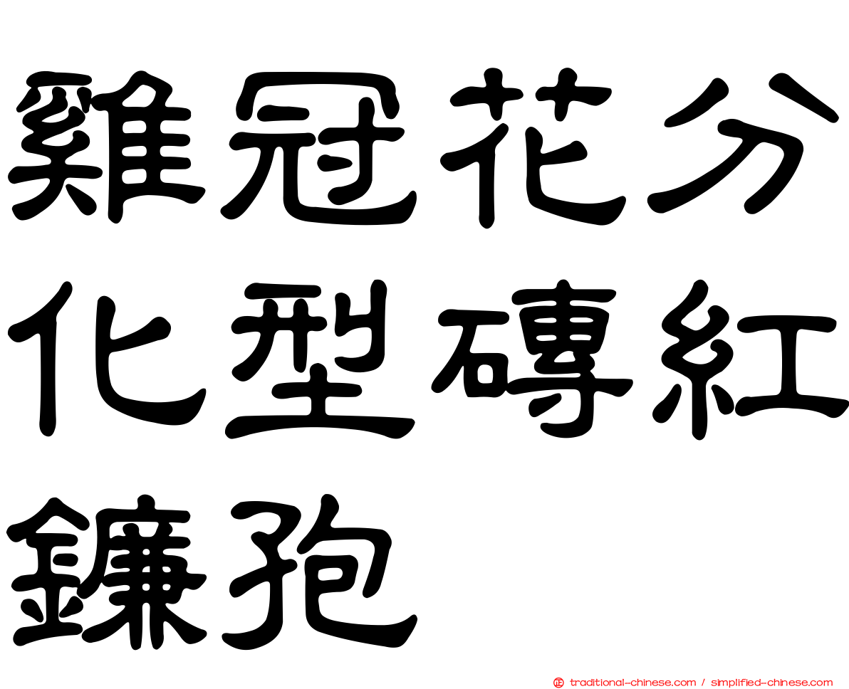 雞冠花分化型磚紅鐮孢