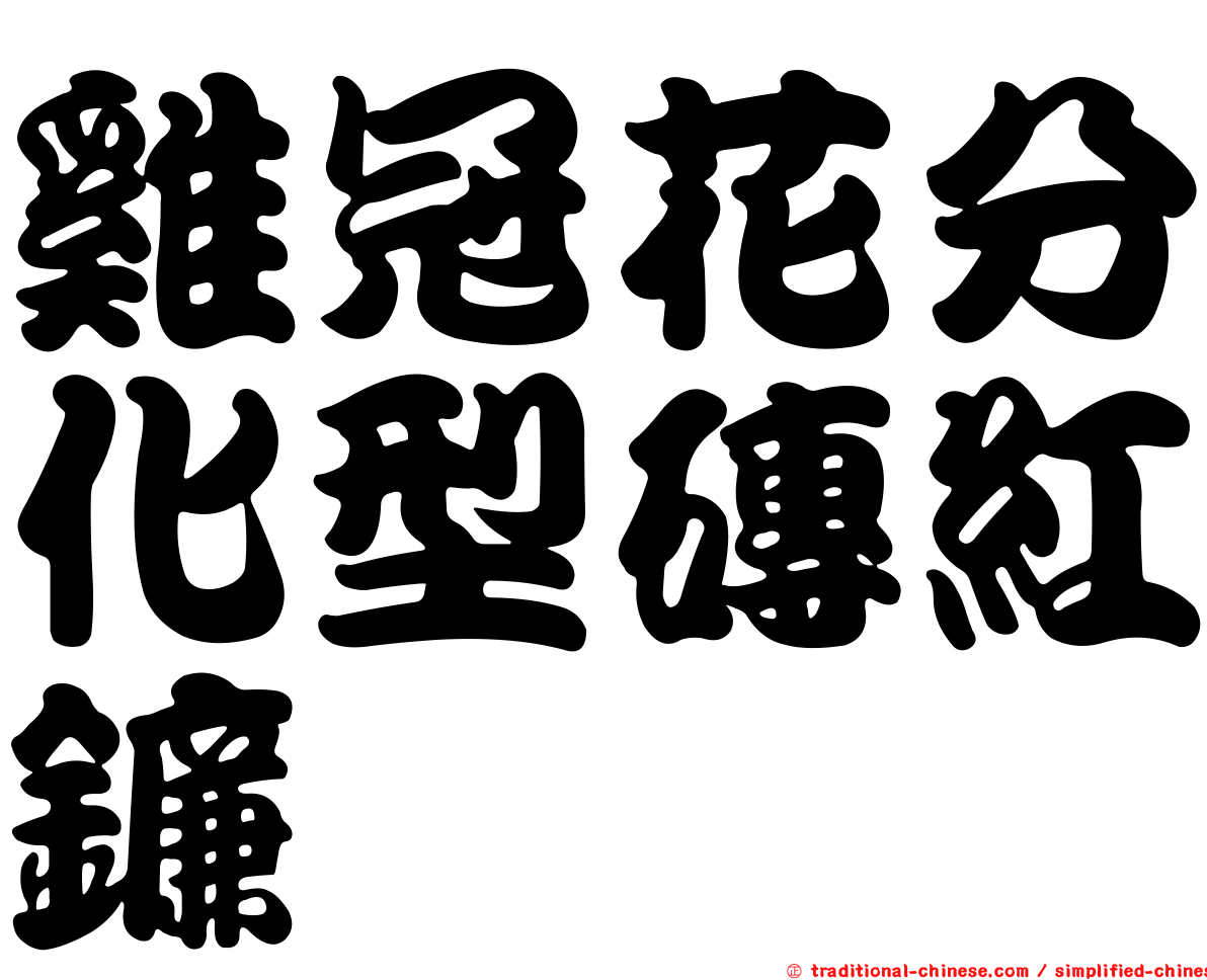 雞冠花分化型磚紅鐮孢