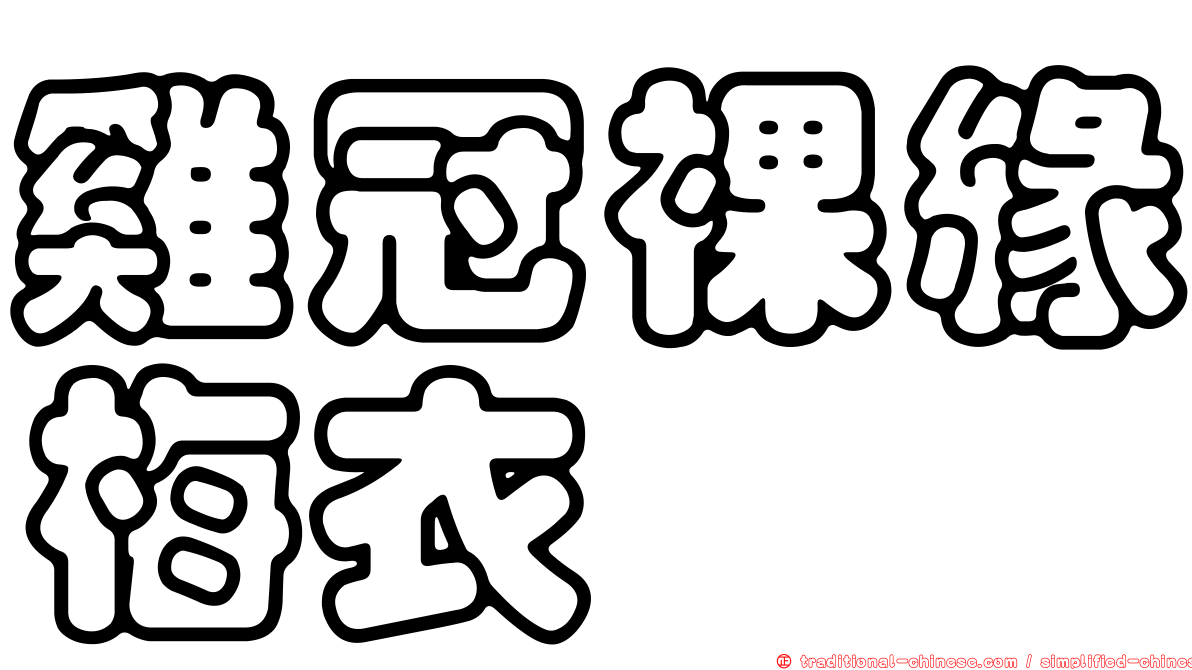 雞冠裸緣梅衣