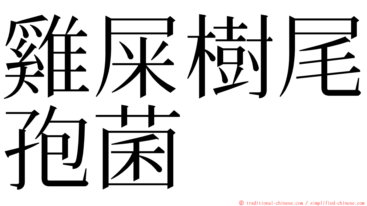 雞屎樹尾孢菌 ming font