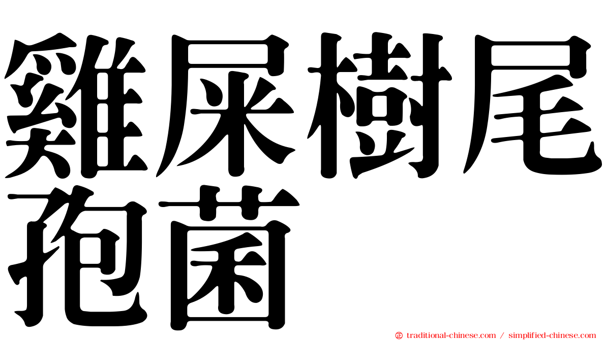 雞屎樹尾孢菌