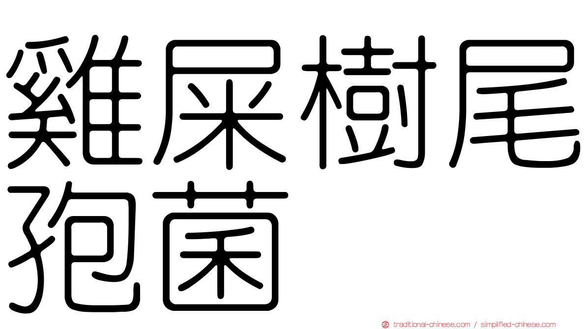 雞屎樹尾孢菌