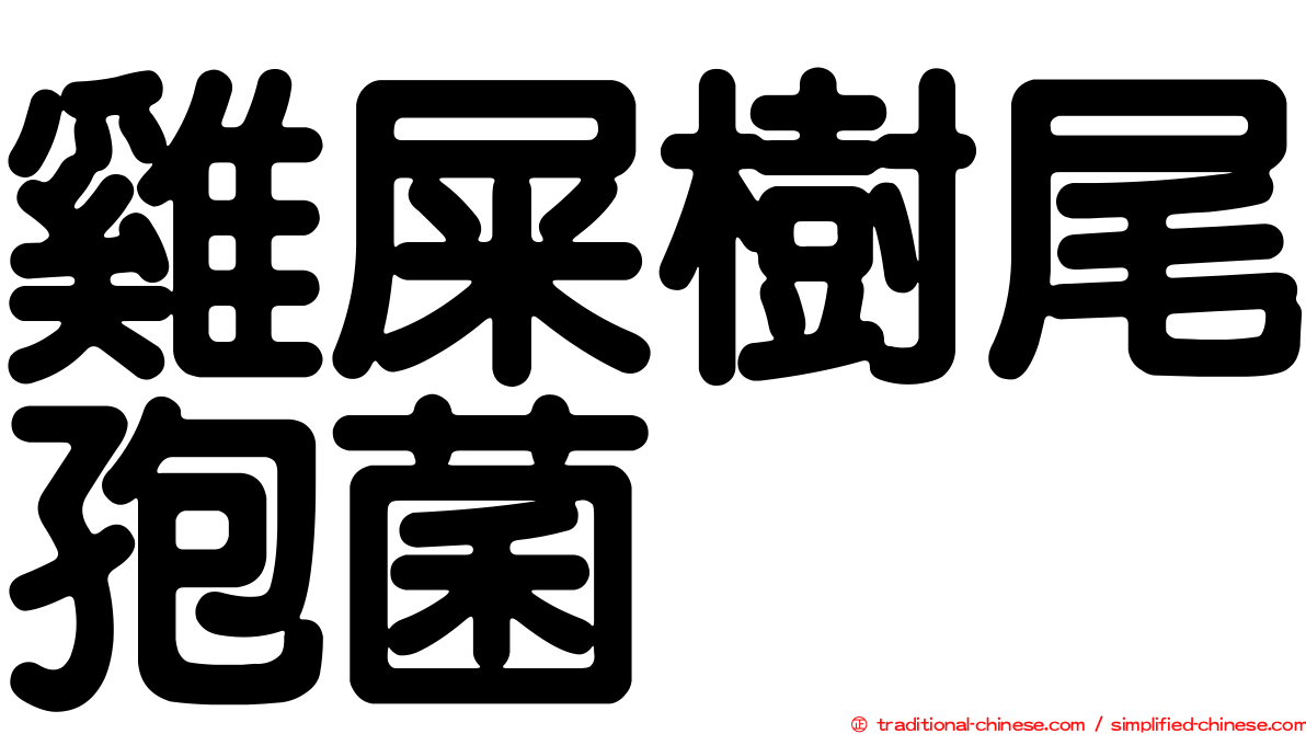 雞屎樹尾孢菌