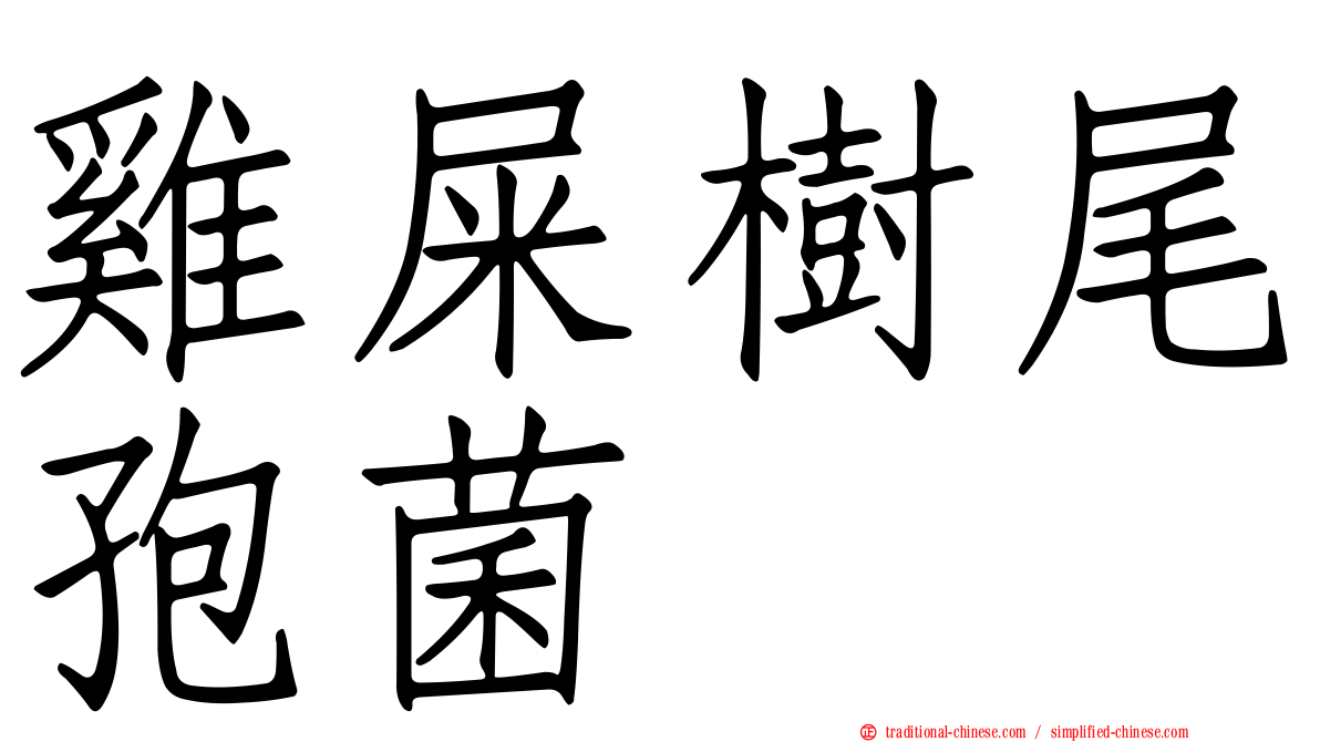 雞屎樹尾孢菌