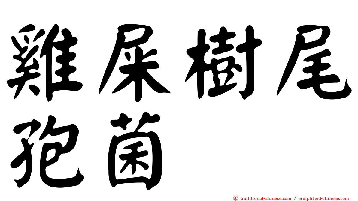 雞屎樹尾孢菌