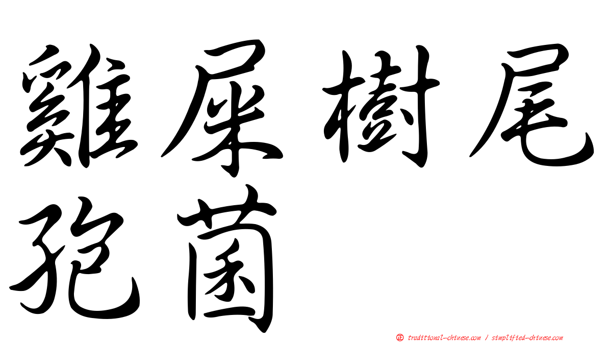 雞屎樹尾孢菌