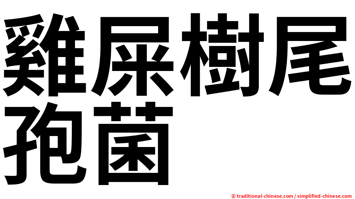 雞屎樹尾孢菌