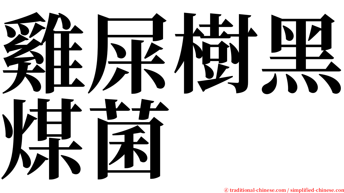 雞屎樹黑煤菌 serif font
