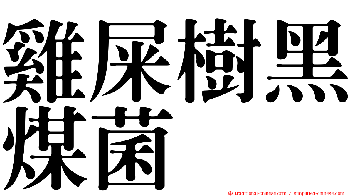 雞屎樹黑煤菌