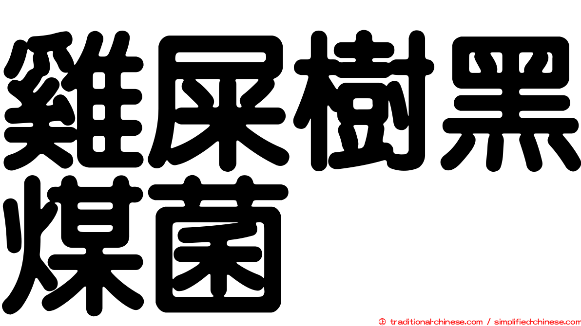 雞屎樹黑煤菌