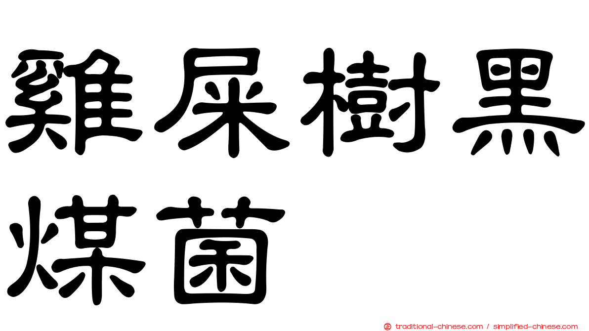 雞屎樹黑煤菌