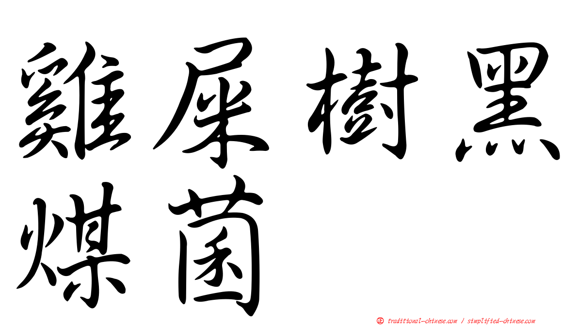 雞屎樹黑煤菌
