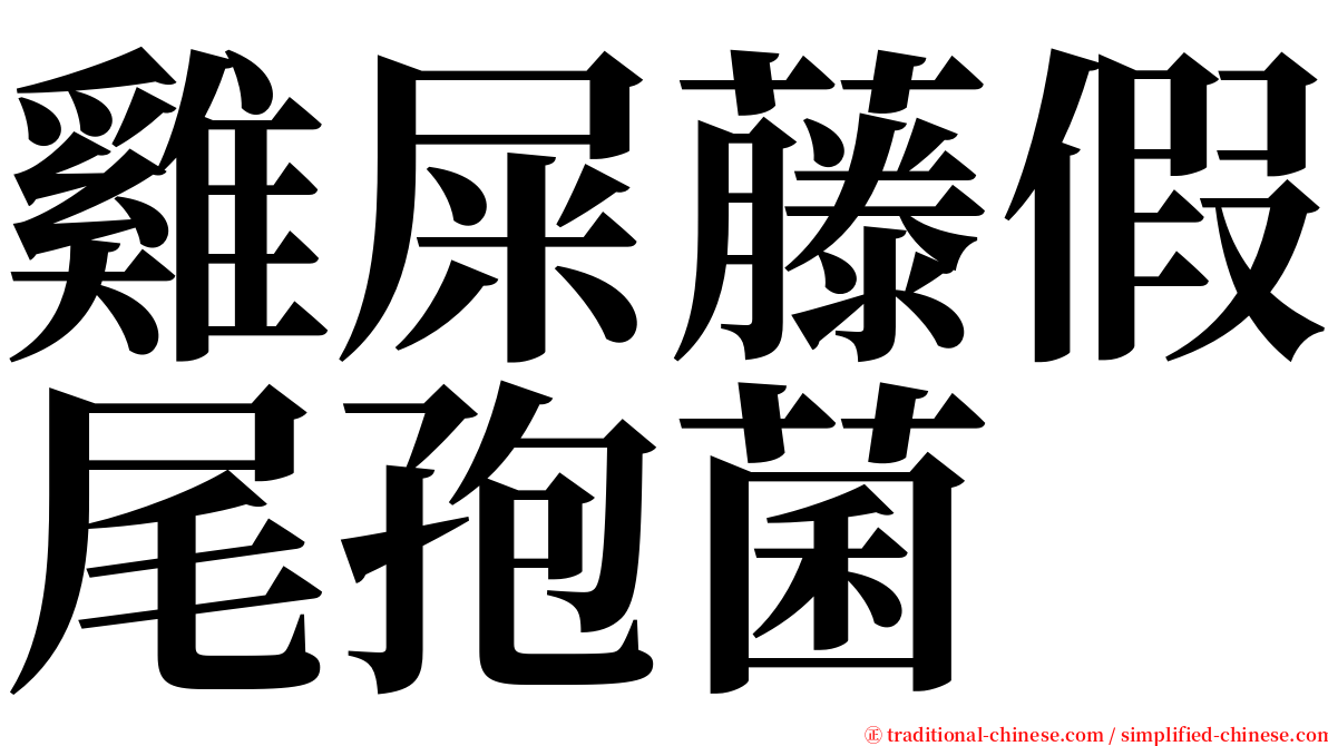 雞屎藤假尾孢菌 serif font