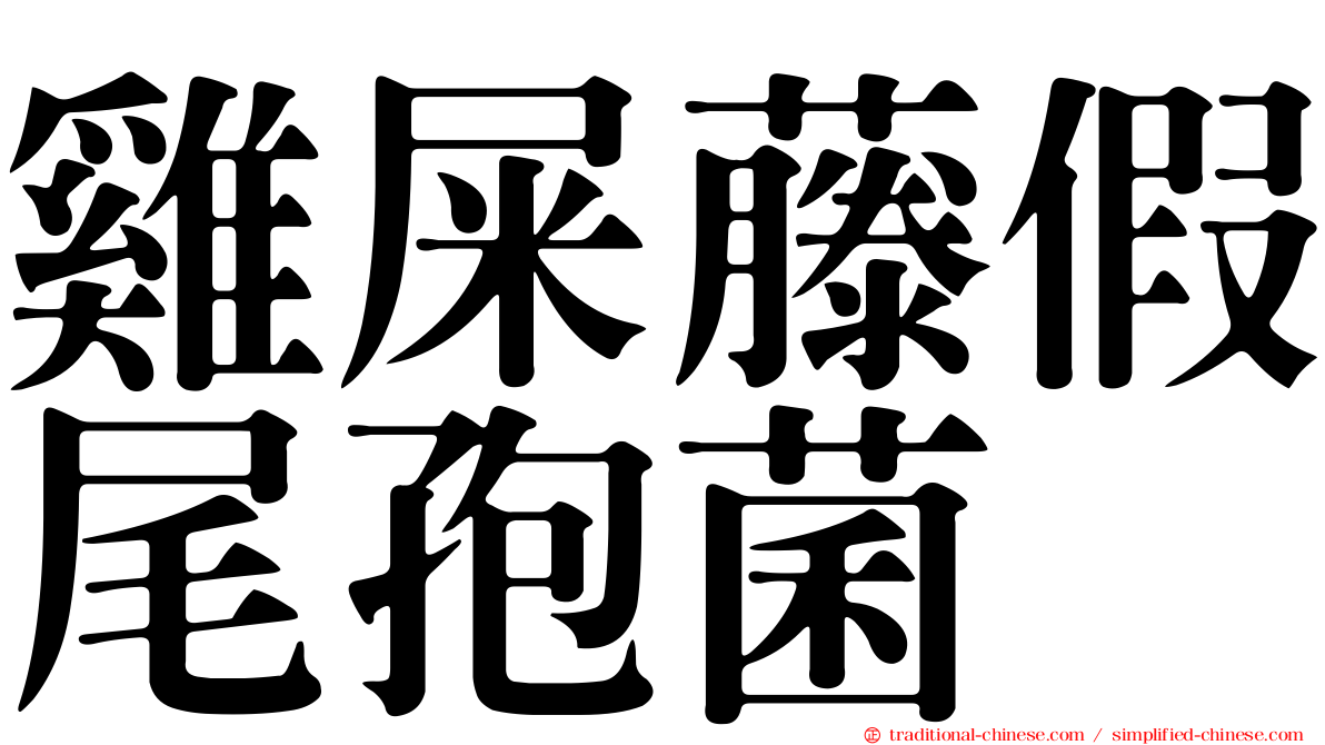 雞屎藤假尾孢菌