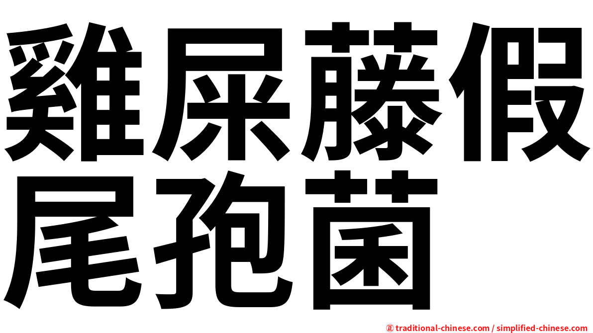 雞屎藤假尾孢菌