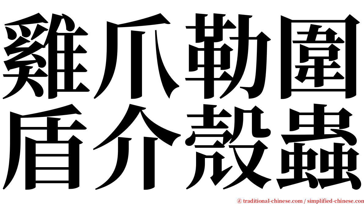 雞爪勒圍盾介殼蟲 serif font