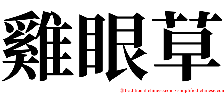 雞眼草 serif font