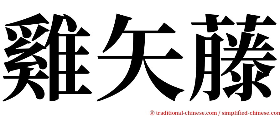 雞矢藤 serif font