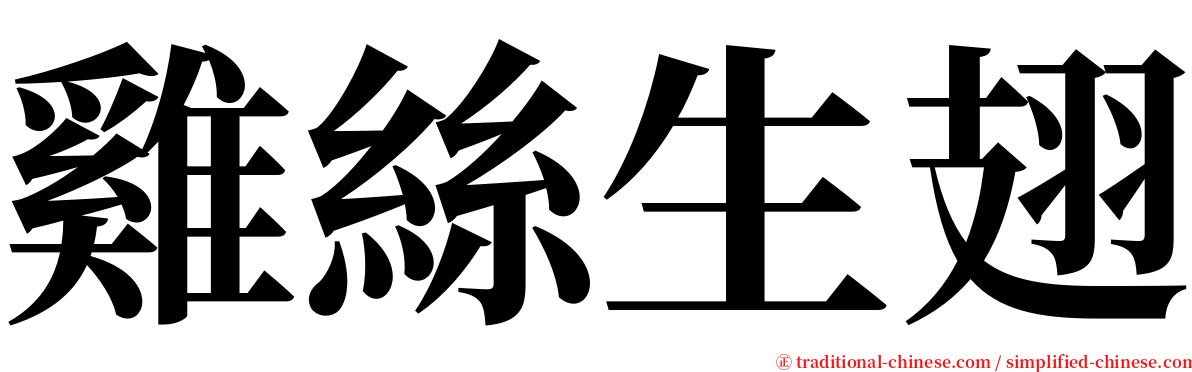 雞絲生翅 serif font