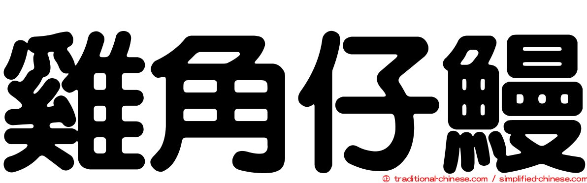 雞角仔鰻