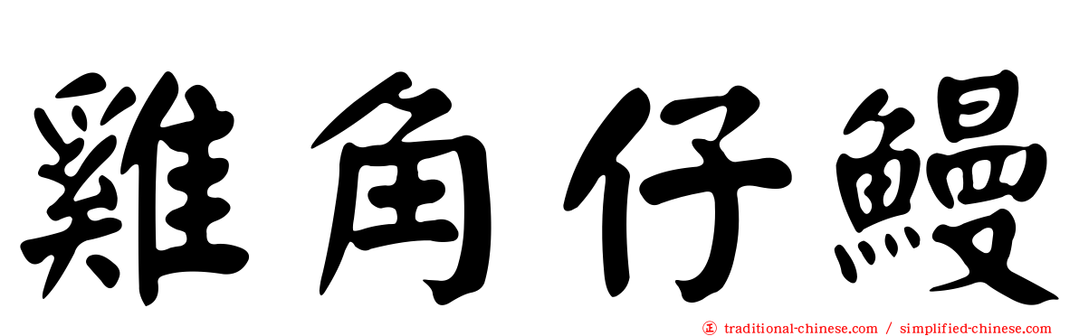 雞角仔鰻