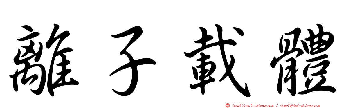 離子載體