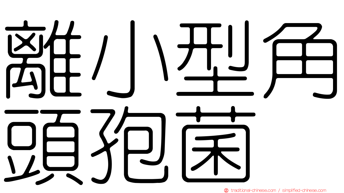 離小型角頭孢菌