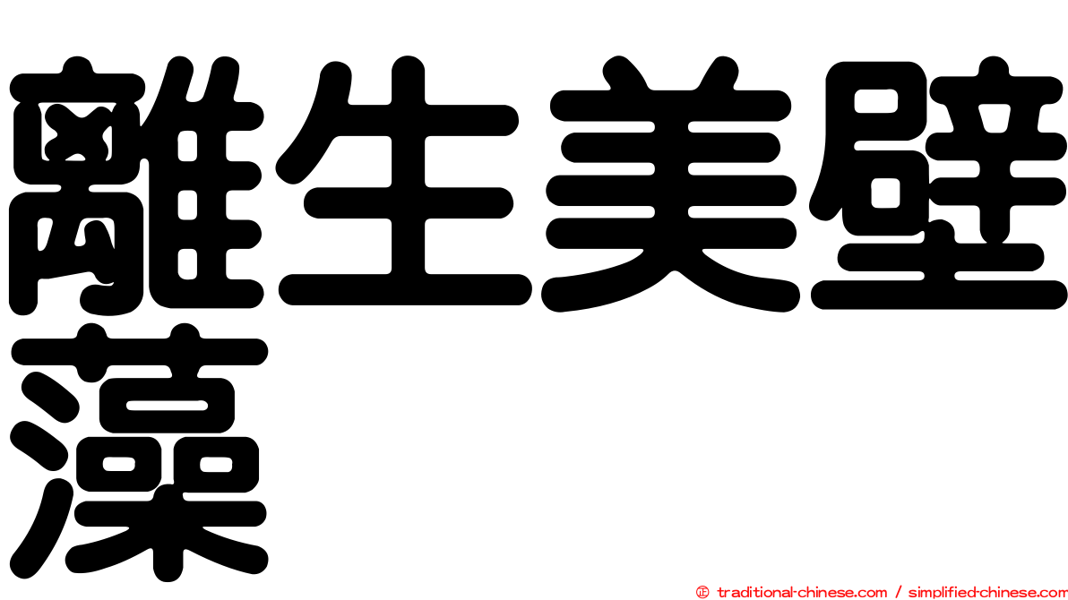 離生美壁藻