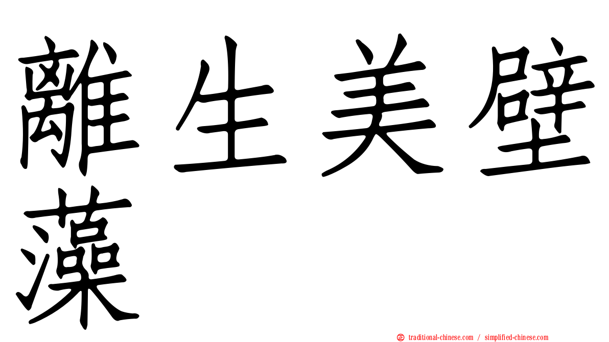 離生美壁藻