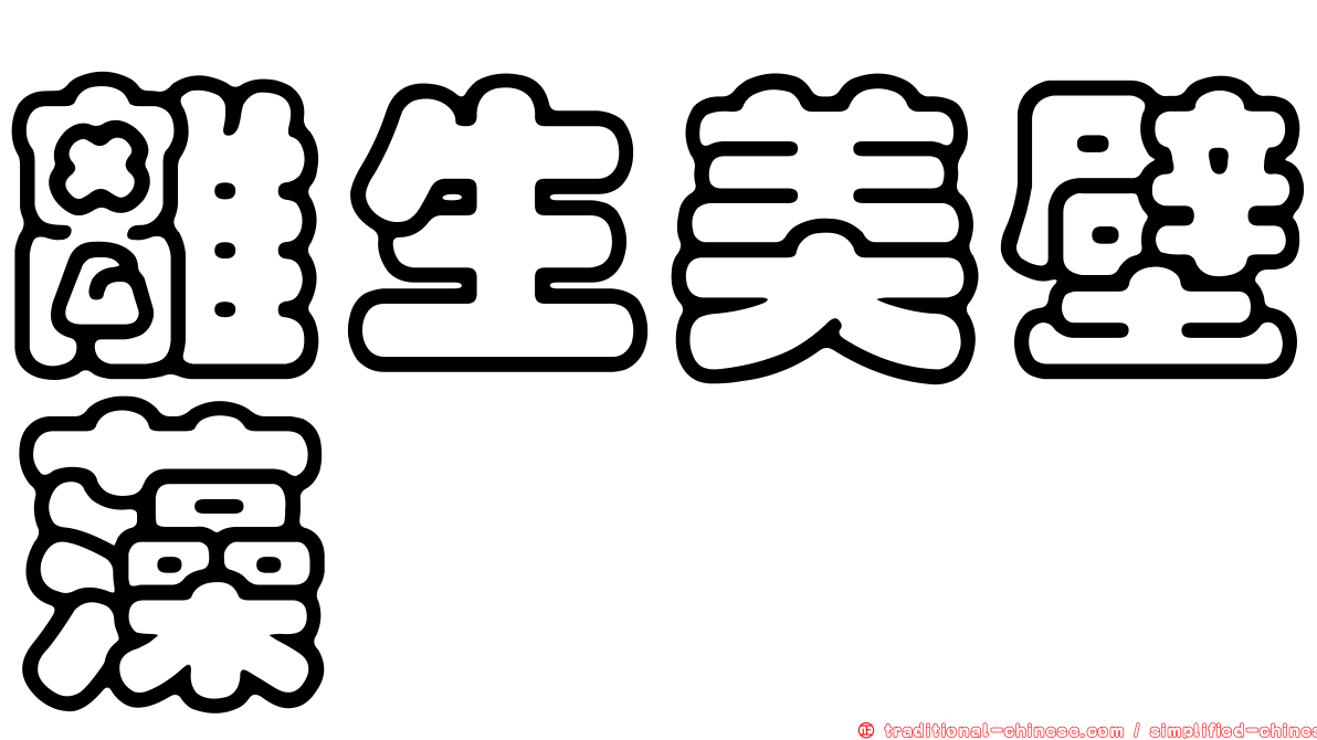 離生美壁藻