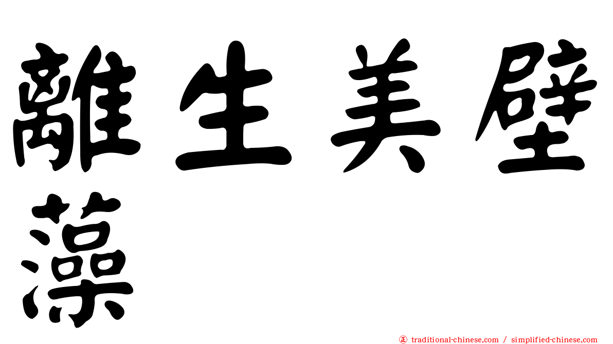 離生美壁藻