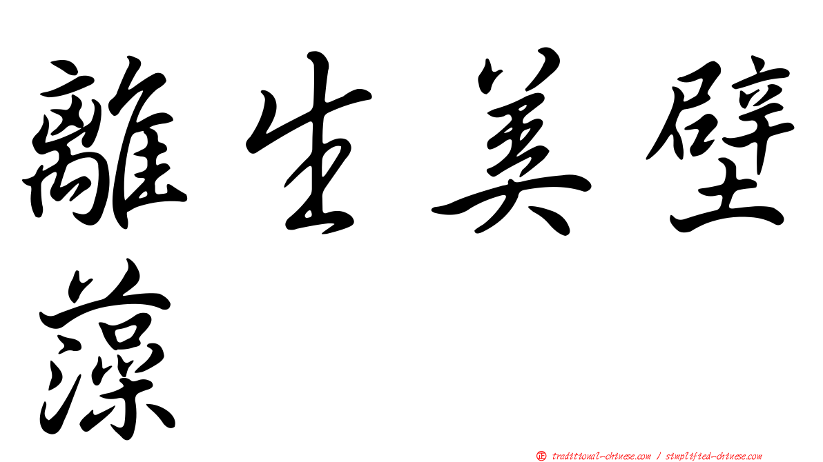 離生美壁藻