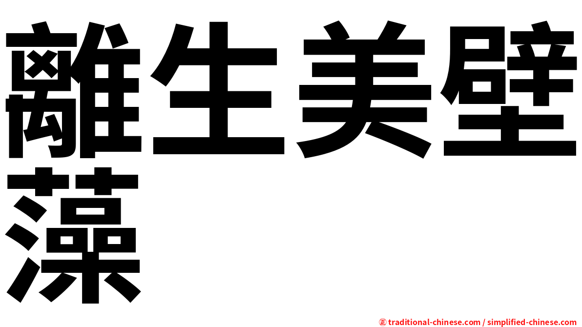 離生美壁藻