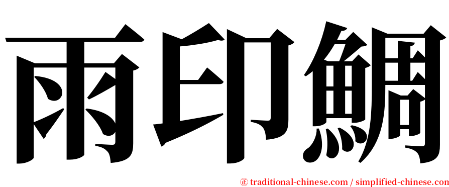 雨印鯛 serif font