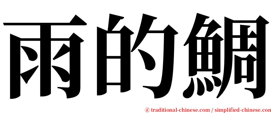 雨的鯛 serif font
