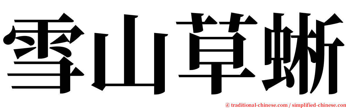 雪山草蜥 serif font