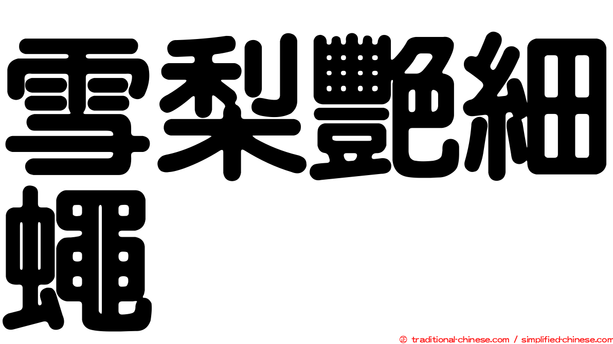 雪梨艷細蠅