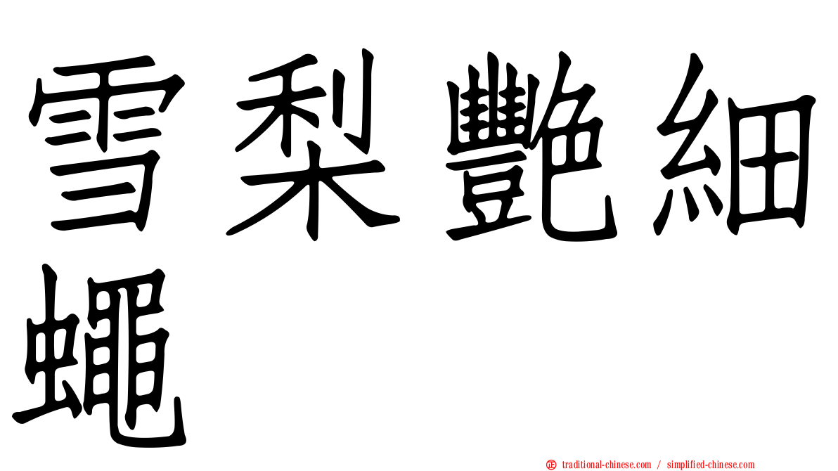 雪梨艷細蠅