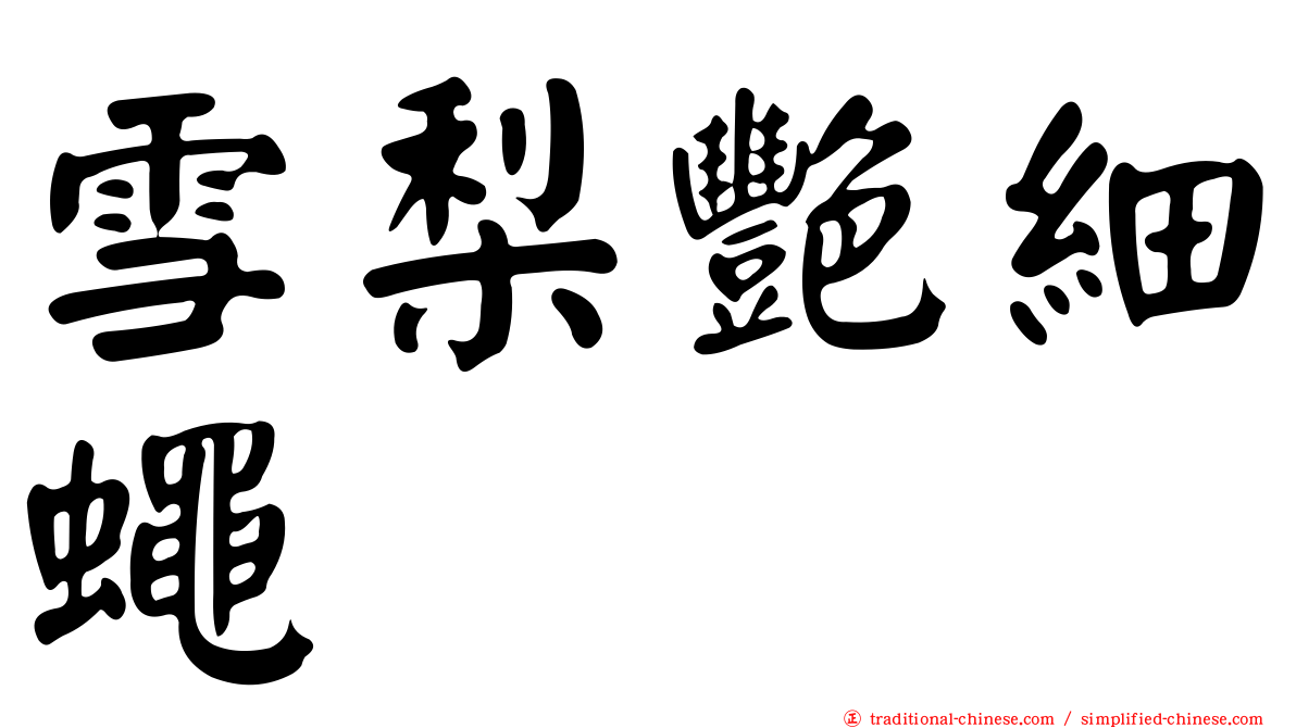 雪梨艷細蠅